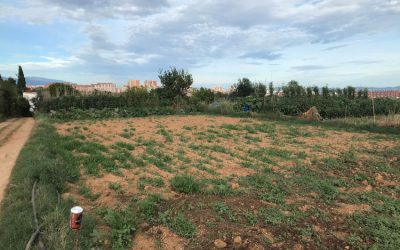 Finca rústica en venta en Mas Canals, La Roureda Sabadell